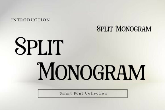Split Monogram: A Detailed Look at Its Design, Applications, and How It Compares